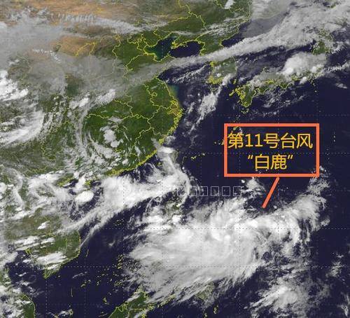 图片来源于网上